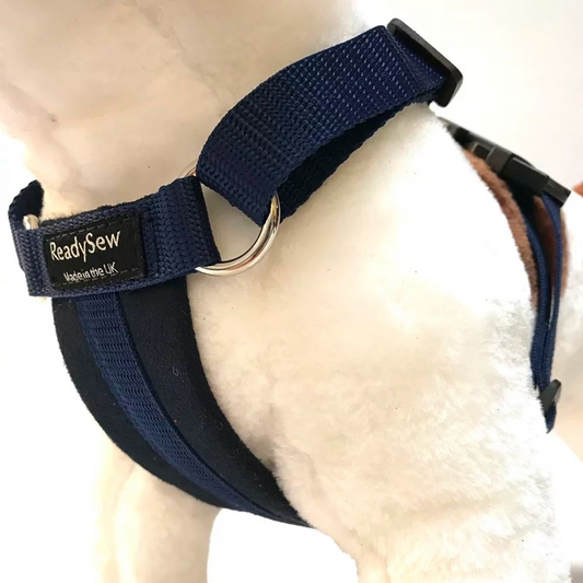 Dog harness blue 